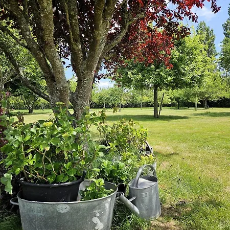 Semesterbostad Maison Lyberti 12 Pers Et Grand Jardin *
