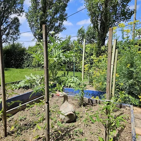 Semesterbostad Maison Lyberti 12 Pers Et Grand Jardin *