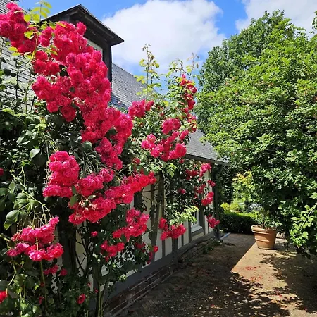 Maison Lyberti 12 Pers Et Grand Jardin Semesterbostad